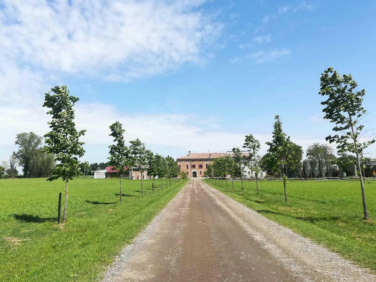 New Flowers Farm B&B ノチェート エクステリア 写真