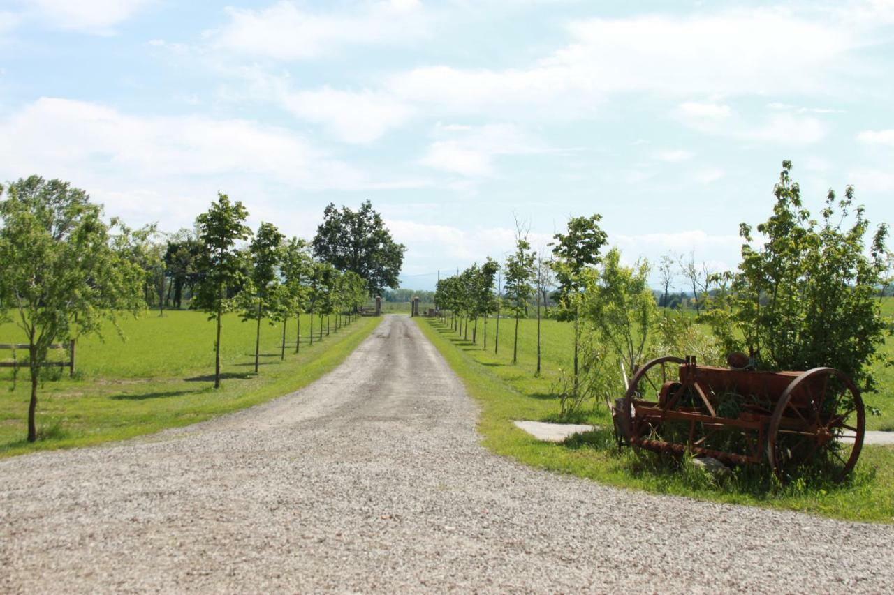 New Flowers Farm B&B ノチェート エクステリア 写真